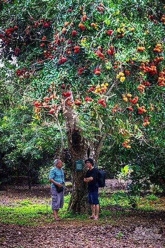 Cần tiền kinh doanh bán gấp đừờng nhựa 