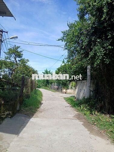616m2 đất ở 337m2 Ngang 25m đường ô tô cách bến xe Đức Long 3 km 