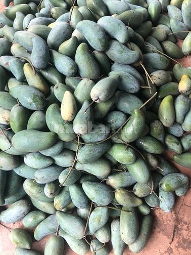 Cần tiền kinh doanh bán gấp đừờng nhựa 
