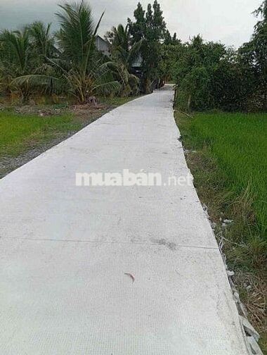 Đất lúa .được lên thổ cư !! ...Mình chính chủ cần bán. Dân cư đông đúc