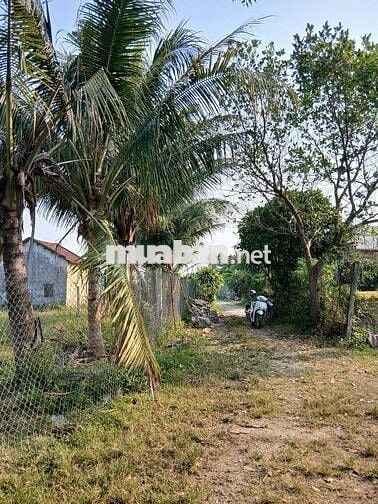 616m2 đất ở 337m2 Ngang 25m đường ô tô cách bến xe Đức Long 3 km 