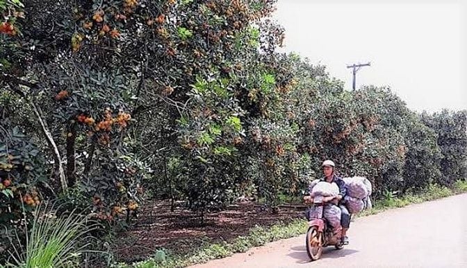 Cần tiền kinh doanh bán gấp đừờng nhựa 