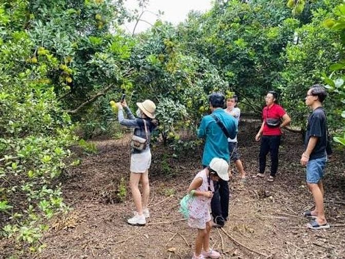 Cần tiền kinh doanh bán gấp đừờng nhựa 