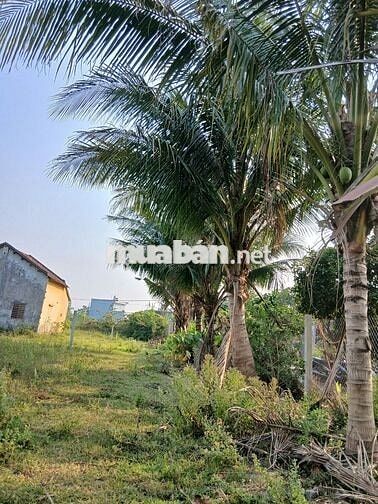 616m2 đất ở 337m2 Ngang 25m đường ô tô cách bến xe Đức Long 3 km 