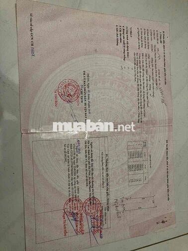 🔥 BÁN ĐẤT MẶT TIỀN NGUYỄN AN NINH – PHƯỚC HẢI – GẦN BIỂN – GIÁ TỐT ĐẦU
