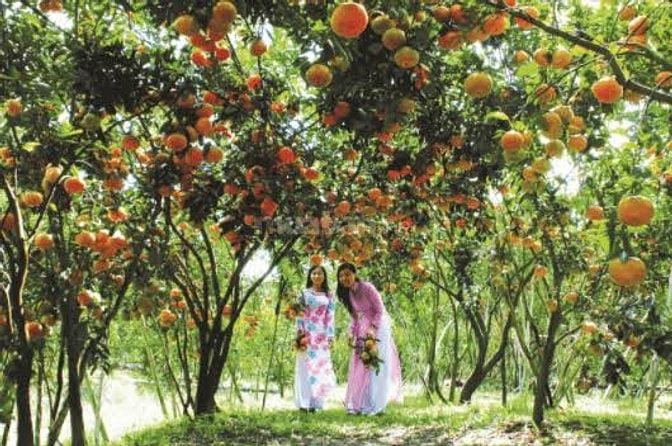 Cần tiền kinh doanh bán gấp đừờng nhựa 