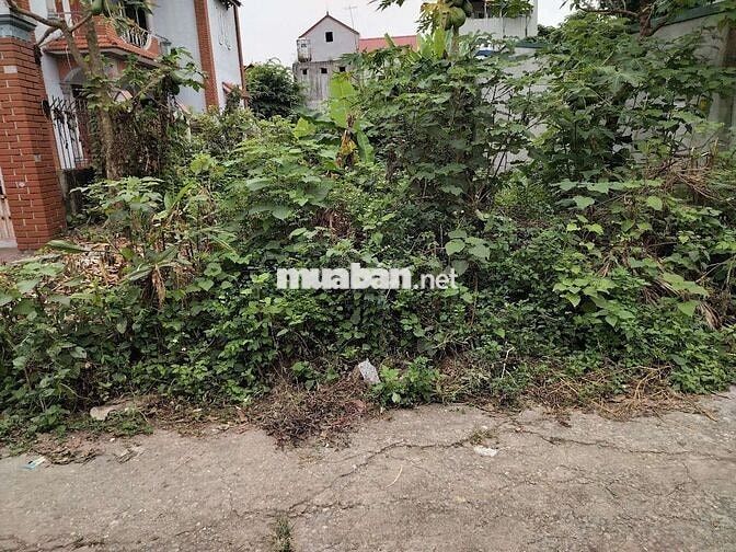118M2 NỘI PHẬT, SÓC SƠN, 3.8 TỶ