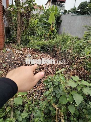 118M2 NỘI PHẬT, SÓC SƠN, 3.8 TỶ