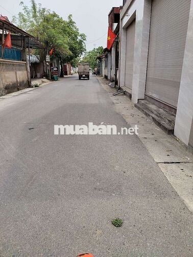 99 m2 Thế Trạch, Sóc Sơn, 3 tỷ