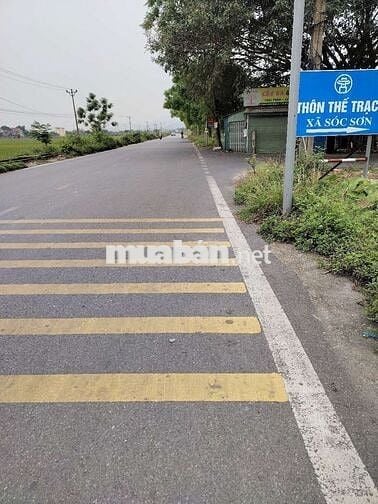 99 m2 Thế Trạch, Sóc Sơn, 3 tỷ