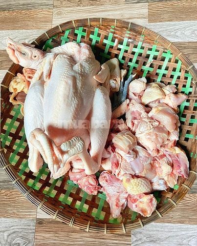 Gà ngon tại bếp, ship đến tận tay. 