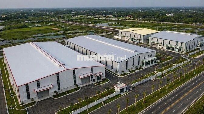 CẦN CHO THUÊ KHO XƯỞNG Ở THỦ THỪA LONG AN DIỆN TÍCH LINH ĐỘNG