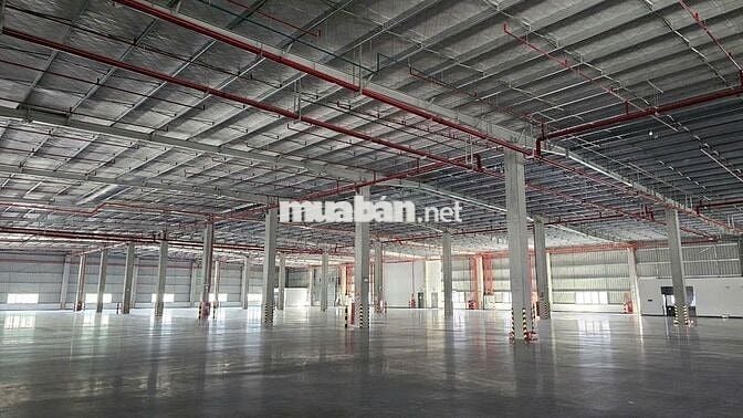 CHO THUÊ KHO XƯỞNG 5300M2 NGUYỄN HỮU TRÍ, BÌNH CHÁNH GIÁ CHỈ 55K 
