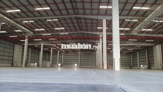 CHO THUÊ KHO XƯỞNG 5300M2 NGUYỄN HỮU TRÍ, BÌNH CHÁNH GIÁ CHỈ 55K 
