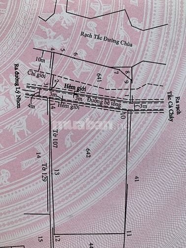  đất ao,dự kiến nuôi tôm nhưng chưa đào ao,đang xin lên thổ cư cả mãnh