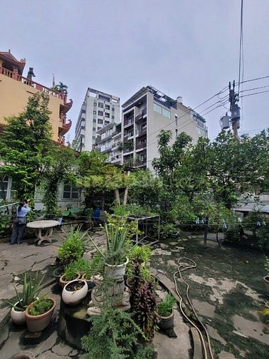 Quận 1 Kế Cận - Mặt Tiền 20m - Giá Giảm Sập Hầm - Chỉ 55 Tỷ