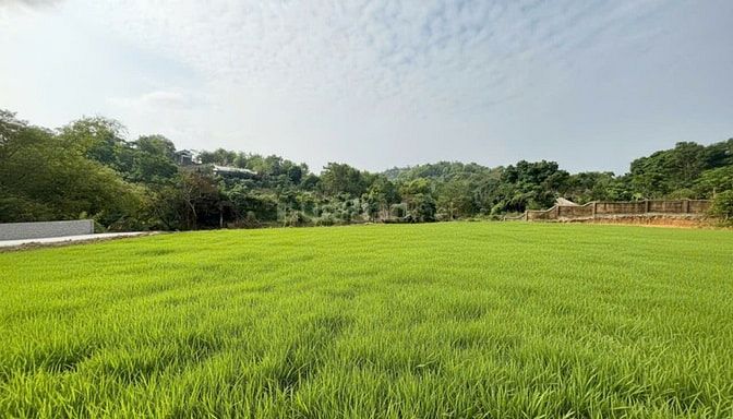 CẦN BÁN GẤP LÔ ĐẤT NGHỈ DƯỠNG CỰC ĐẸP - GẦN LEGACY HILL