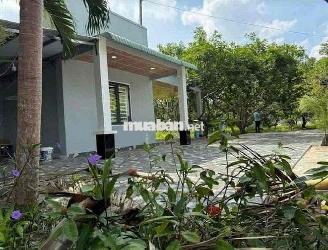 Chị gái chuyển về quê sinh sống gửi bán căn nhà vườn cây. DT: hơn 500m