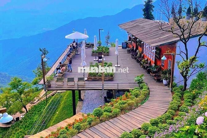 Đất thị trấn tam đảo làm homestay khách sạn đẹp