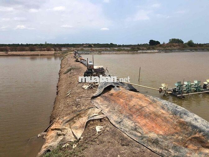 Chính chủ bán đất Thuỷ Sản Lý Nhơn Cần Giờ