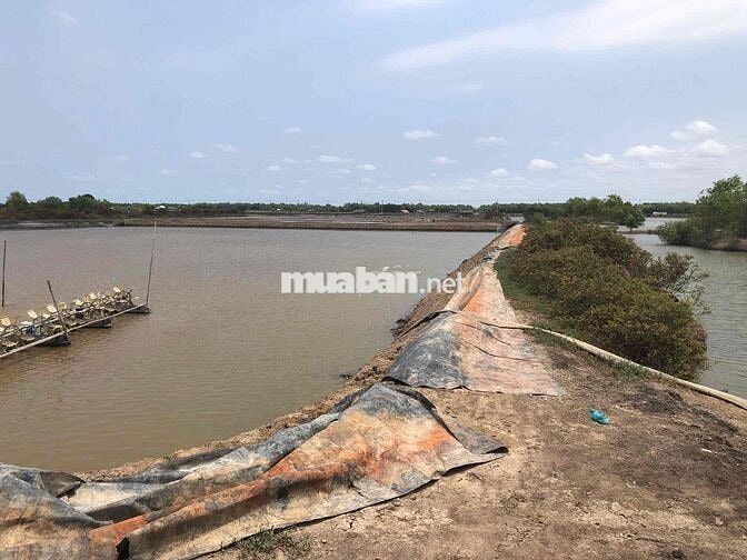Chính chủ bán đất Thuỷ Sản Lý Nhơn Cần Giờ