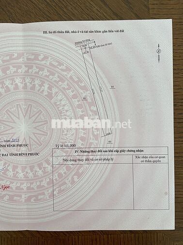 CHÍNH CHỦ BÁN NHANH LÔ ĐẤT GIÁ TỐT – ĐƯỜNG BÊ TÔNG TỚI ĐẤT