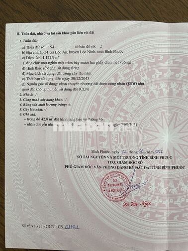 CHÍNH CHỦ BÁN NHANH LÔ ĐẤT GIÁ TỐT – ĐƯỜNG BÊ TÔNG TỚI ĐẤT