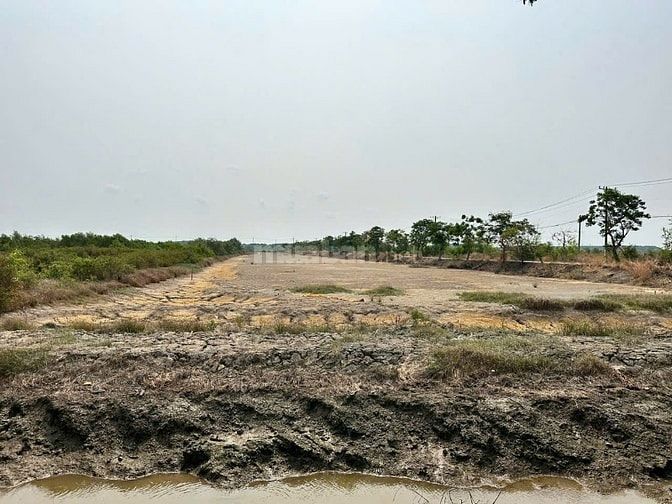 Bán 1,3 ha đất 3 mặt tiền full thổ cư Lý Nhơn Cần Giờ