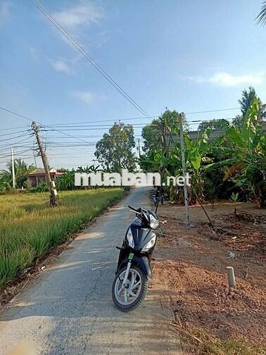ĐẤT GẦN SÔNG – GIÁ CHỈ 199TR – CÓ THỔ CƯ – Ô TÔ TỚI ĐẤT 🔥