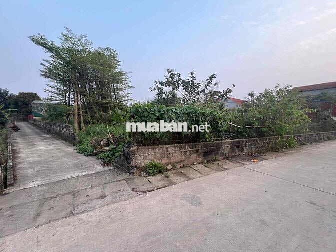 Bán lô góc 282m2 - trong đó 200m2 thổ cư -82 đất vườn