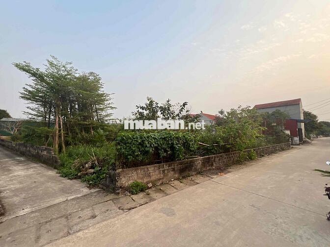 Bán lô góc 282m2 - trong đó 200m2 thổ cư -82 đất vườn