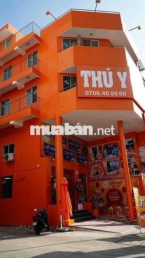 tuyển ship đưa đón chó(ưu tiên có bằng B)