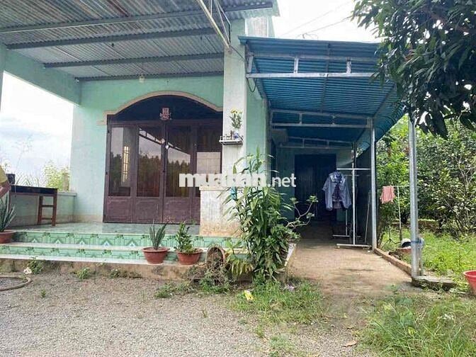 Thạnh Phú Vĩnh Cữu Đồng Nai  + DT 560m2 ( 14 x 42 ) sổ riêng