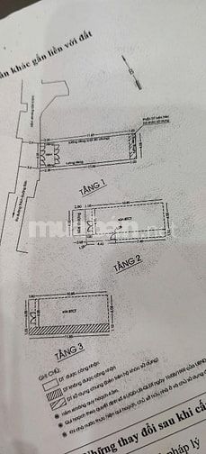 💥Bán nhà Hẻm Thích Quảng Đức Phú Nhuận, Ngang 4,05m dài 15,1m, vuôn 