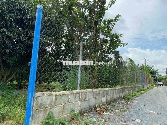 Thạnh Phú Vĩnh Cữu Đồng Nai  + DT 560m2 ( 14 x 42 ) sổ riêng