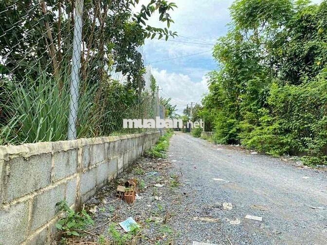 Thạnh Phú Vĩnh Cữu Đồng Nai  + DT 560m2 ( 14 x 42 ) sổ riêng