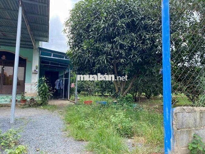 Thạnh Phú Vĩnh Cữu Đồng Nai  + DT 560m2 ( 14 x 42 ) sổ riêng