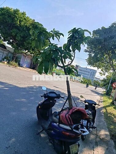 cần bán đất mặt tiền đường trà na3