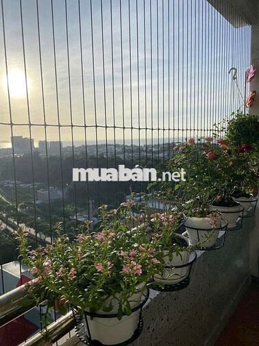 Bán Căn Hộ Seaview 4 Diện Tích 53m2 Giá 2,3 Tỷ