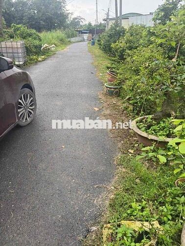Đất Thới Hoà giáp ranh Mỹ Phước 4 nhựa 4,5m thông 6x54 thổ cư 288m