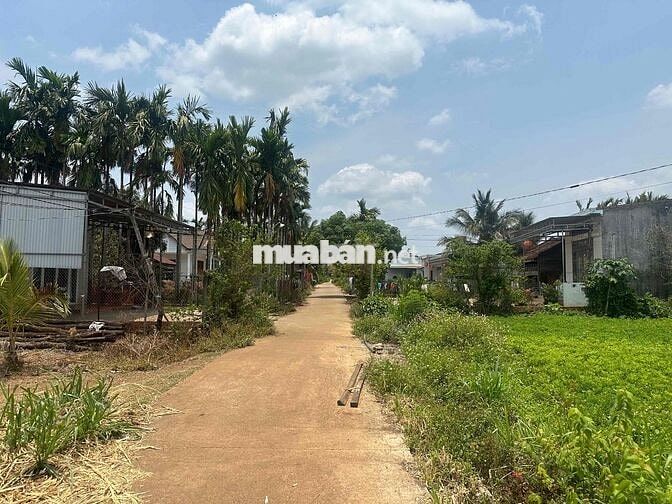 ĐẤT NỀN GIÁ RẺ CƯ M’GAR ĐẮK LẮK