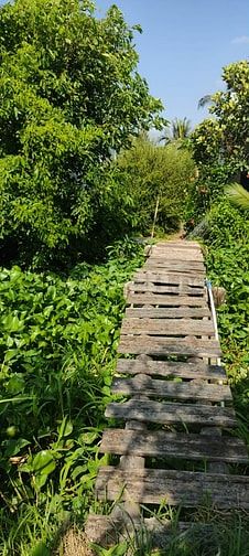 Bán nhà đất Tân Điền giá rẻ bao sang tên