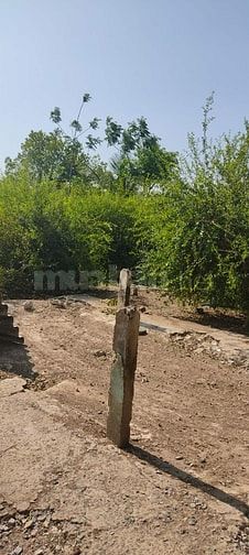 Bán nhà đất Tân Điền giá rẻ bao sang tên