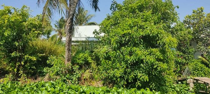 Bán nhà đất Tân Điền giá rẻ bao sang tên