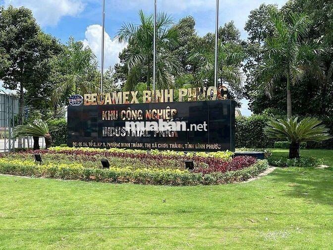 CHỦ NỢ NGÂN HÀNG  BÁN GẤP LÔ 200m2 SÁT KCN BECAMEX  GIÁ CHỈ 590Tr