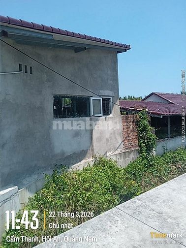🚨 SỐC THẬT! 3000m² ĐẤT HỘI AN – CHỈ 1,49 TỶ 🚨
