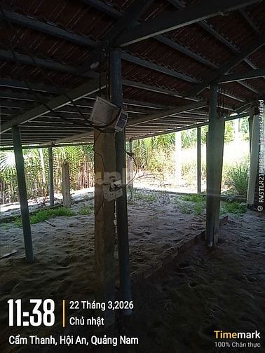 🚨 SỐC THẬT! 3000m² ĐẤT HỘI AN – CHỈ 1,49 TỶ 🚨
