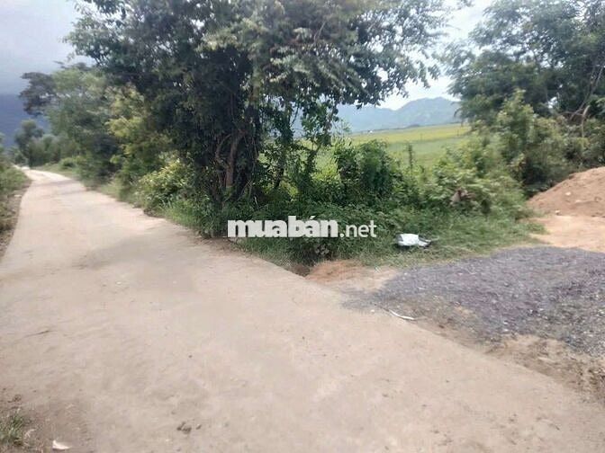 3096m2 Bắc Vân Phòng, thôn Phú Càng 1, Vạn Phú, Vạn Ninh, Khánh hoà