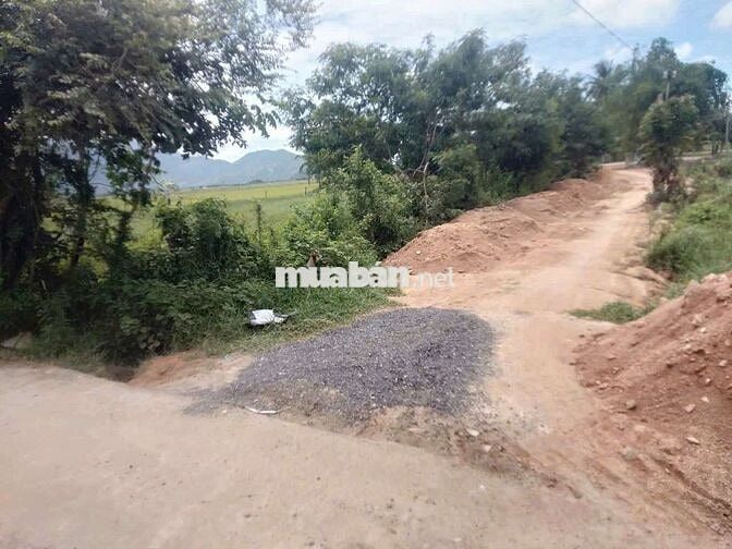 3096m2 Bắc Vân Phòng, thôn Phú Càng 1, Vạn Phú, Vạn Ninh, Khánh hoà
