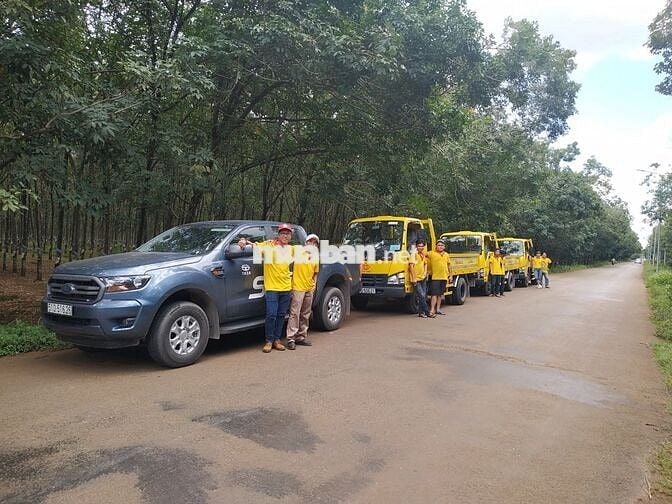 LÁI XE TẢI BẰNG C GIAO GẠCH MEN TẠI BÌNH CHÁNH